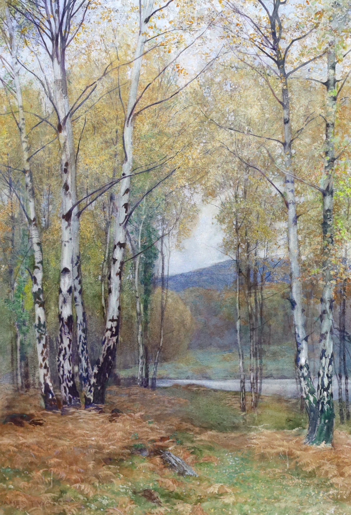 James Thomas Watts (English, 1853-1930), 'Autumn among Birch trees' & ‘A little Welsh stream in autumn', watercolours, a pair, 34.5 x 24.5cm, Please note this lot attracts an additional import tax of 5% on the hammer pri